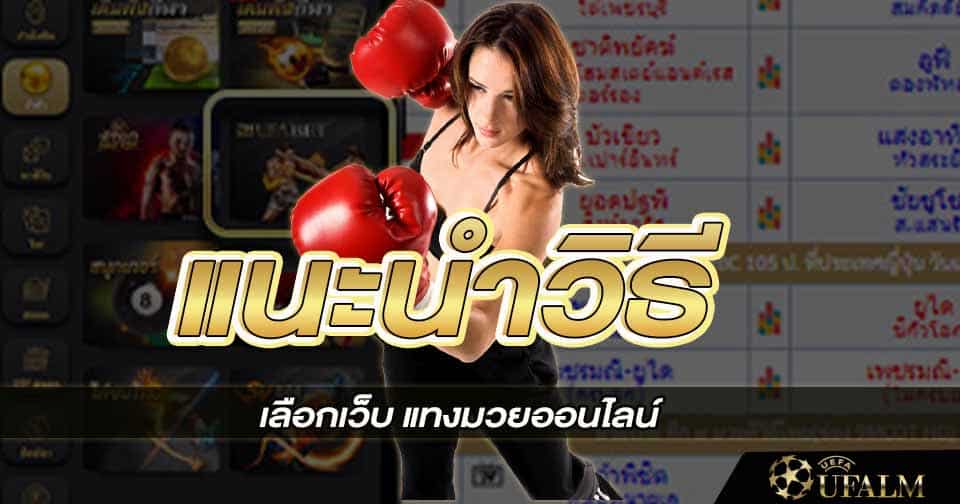 วิธีเลือกเว็บ แทงมวยออนไลน์